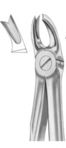  Fig. 65L upper molars left 